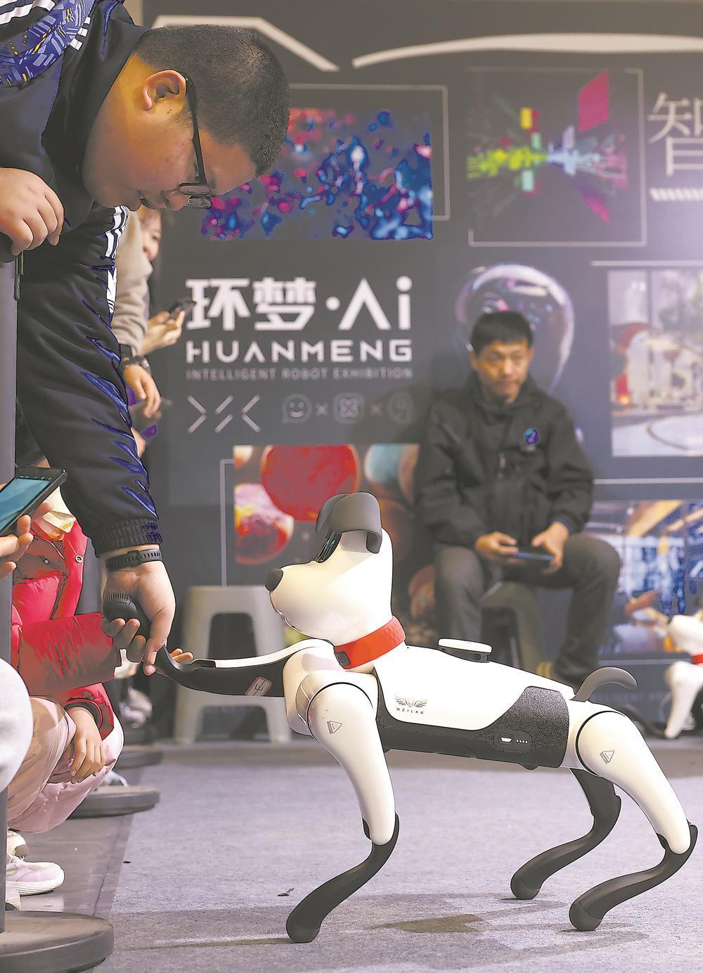 在福州海峡国际会展中心举行的2025环梦·AI智能机器人科普展上,市民与四足机器狗互动。王旺旺 摄