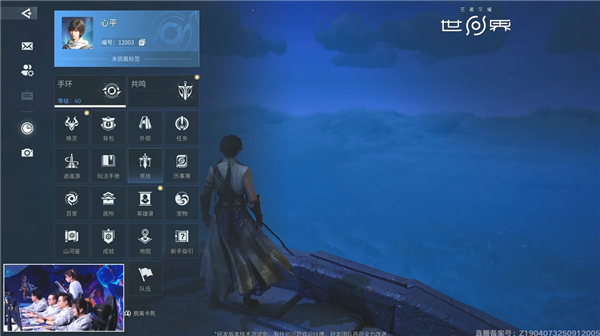 以上为首次游戏演示直播部分画面