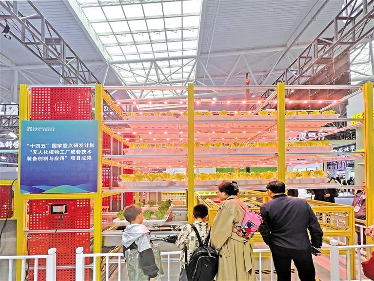 珠海益品农业科技有限公司展示的无人化植物工厂,吸引群众驻足了解(10月25日摄)。