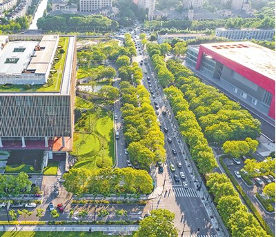 上海浦东图书馆绿地。  上海市浦东新区生态环境局供图