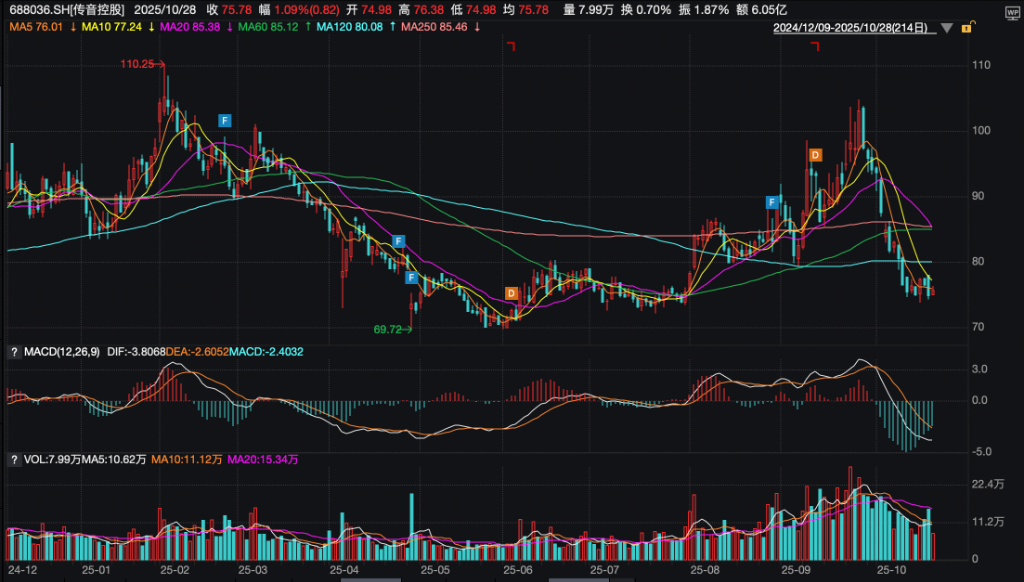 风险提示及免责条款