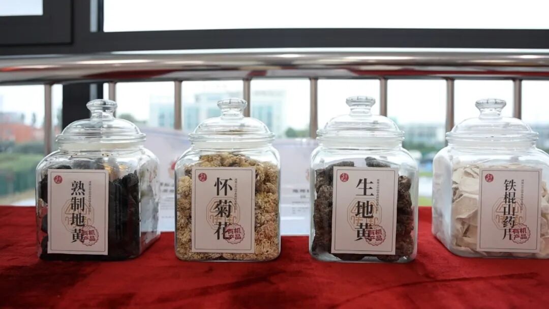 怀药产品。焦作日报全媒体记者 林晓 摄