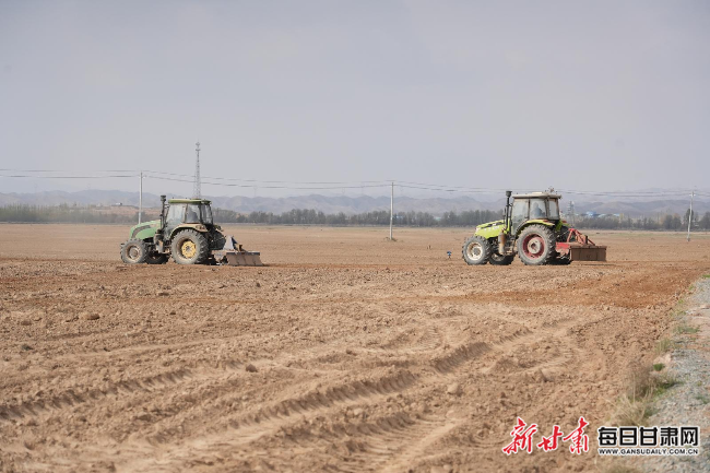 播种现场。新甘肃·甘肃日报记者 魏晓倩摄