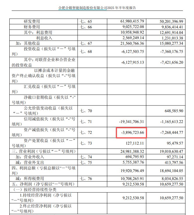 来源：公司2025年半年报