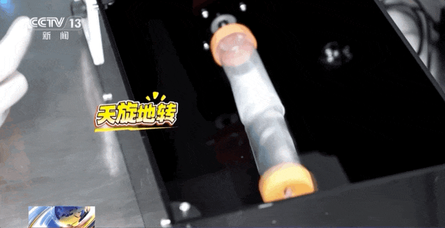 4只小鼠“航天员”要上天了,“魔鬼”训练画面曝光