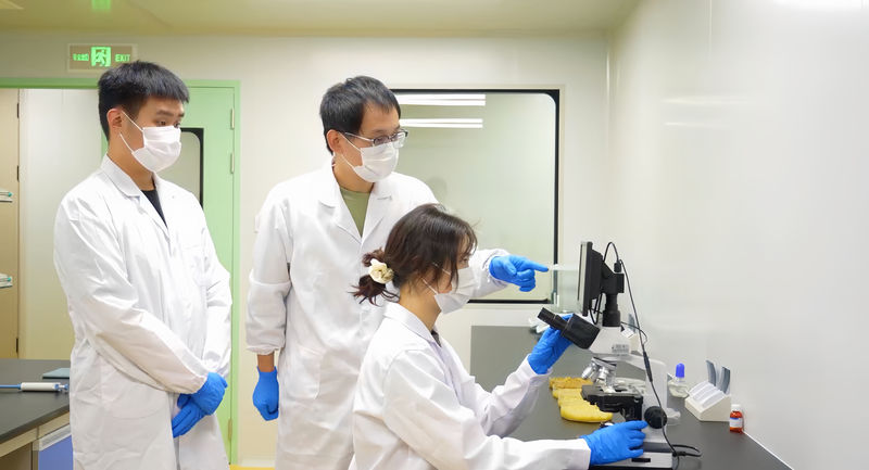 臧立华团队成员在实验室进行技术研究。企业供图