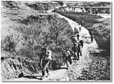 知识青年奔赴延安。资料图片