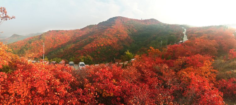 长寿山层林尽染 （巩义市委宣传部供图）