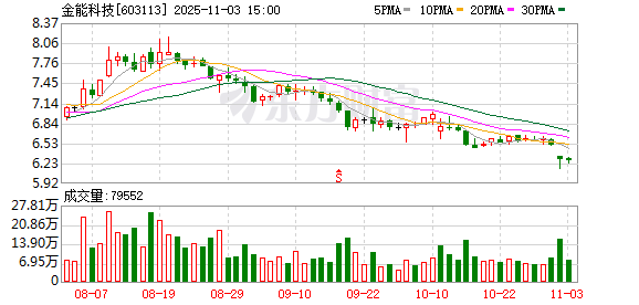 金能科技：不存在逾期担保