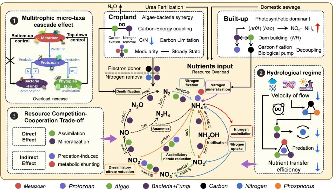 PFAI创新协同驱动：生物制造的全链路跨境创新实践