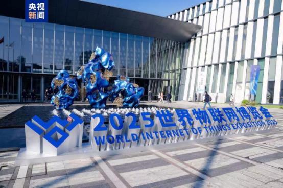 图片来源/央视新闻