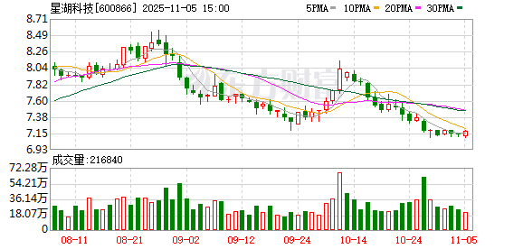 星湖科技:补选董事及专门委员会委员
