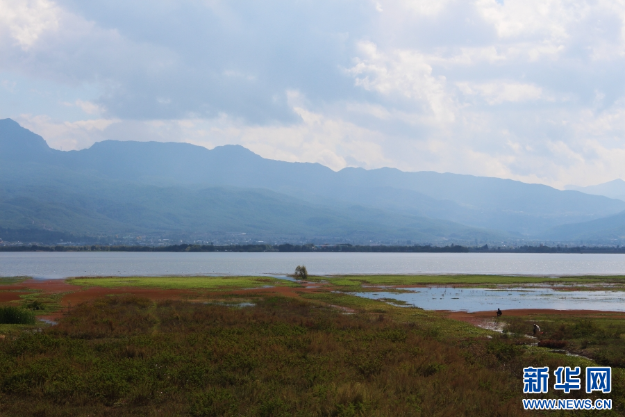 秋色下的拉市海（10月23日攝）。新華網發