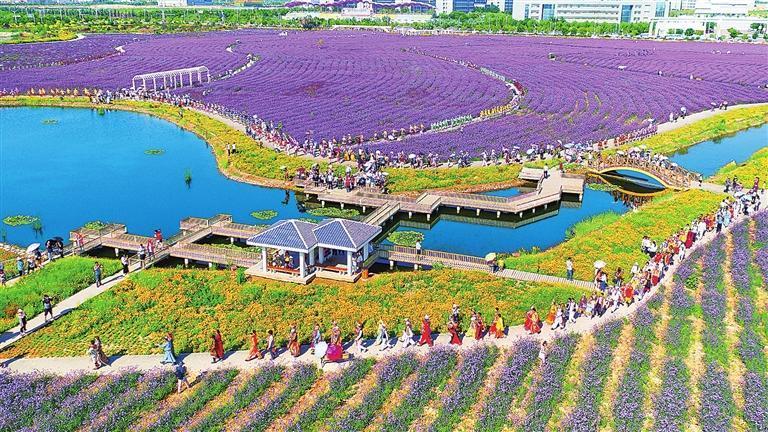 金昌紫金苑。（资料图）