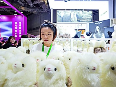 进博会上，参展商在整理商品。光明日报记者 范天培摄/光明图片