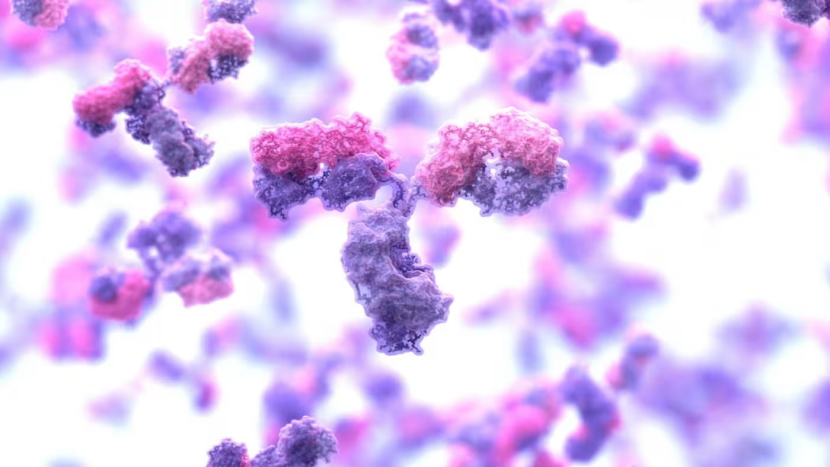 （來源：華盛頓大學）