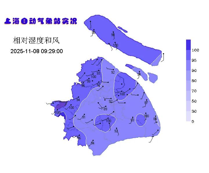 刚刚确认！台风将对上海有影响！网友崩溃：立冬了，就问离不离谱……