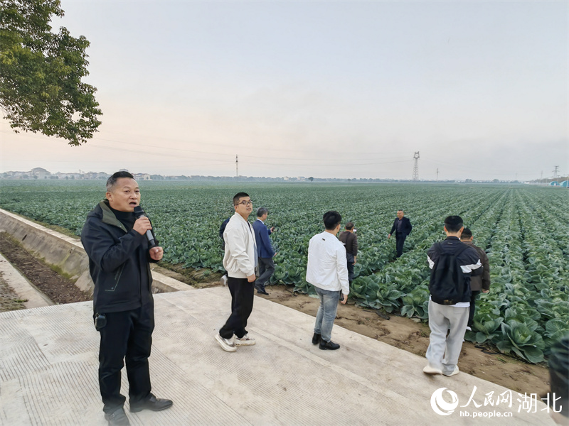 潘家灣鎮農技服務中心技術人員劉朝輝介紹情況。人民網記者 郭婷婷攝