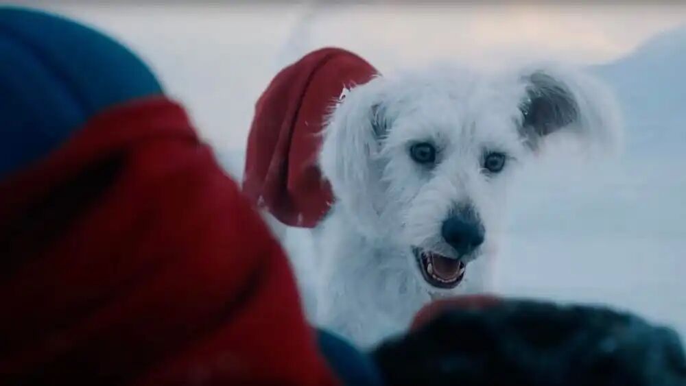 電影里保留了Ozu特點的Krypto