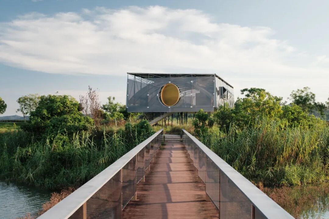 ▲花房近景 陈颢