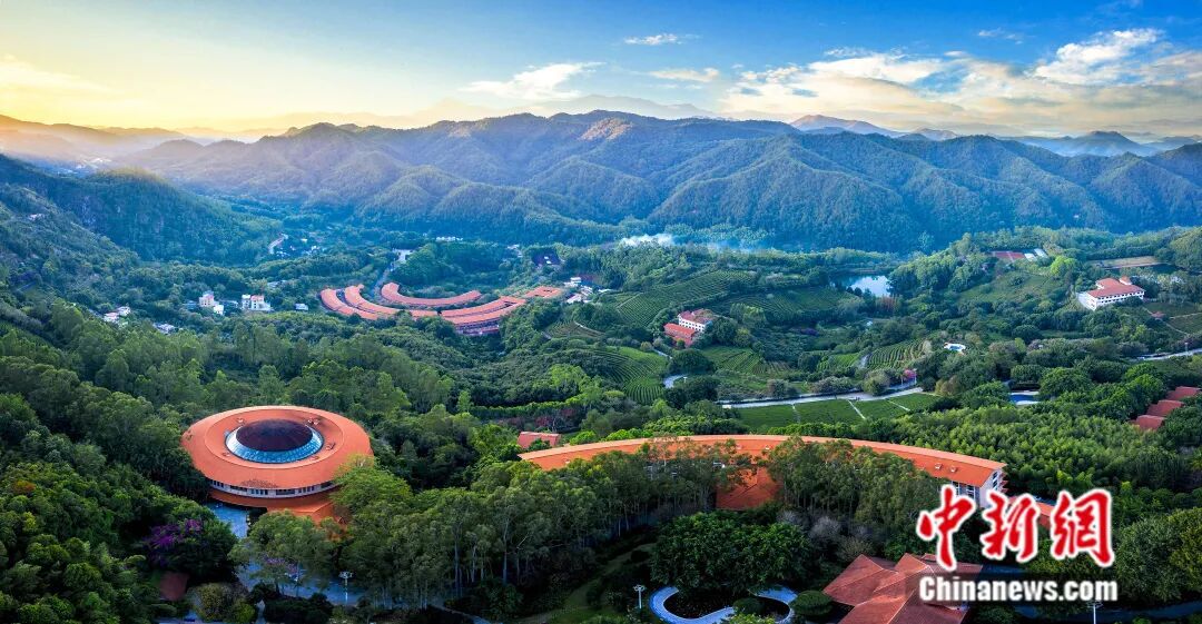 圖為雁南飛茶田景區。景區供圖