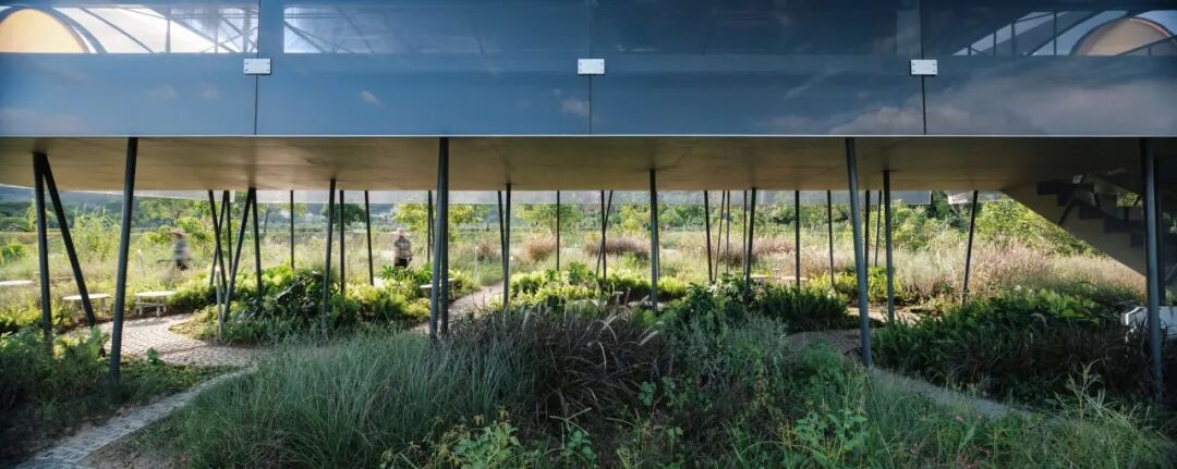 ▲ 抬升的主体和下方的柱子 陈颢