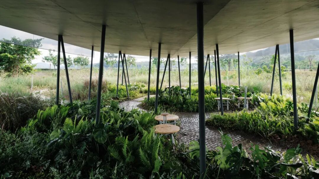 ▲ 底层的花园 陈颢