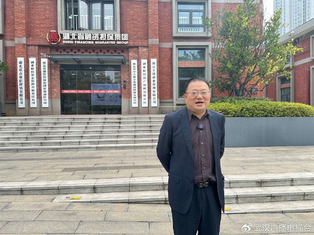 图：湖北省融资担保集团有限责任公司总经理倪丹