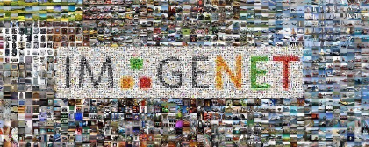 圖丨 ImageNet（來源：ImageNet）
