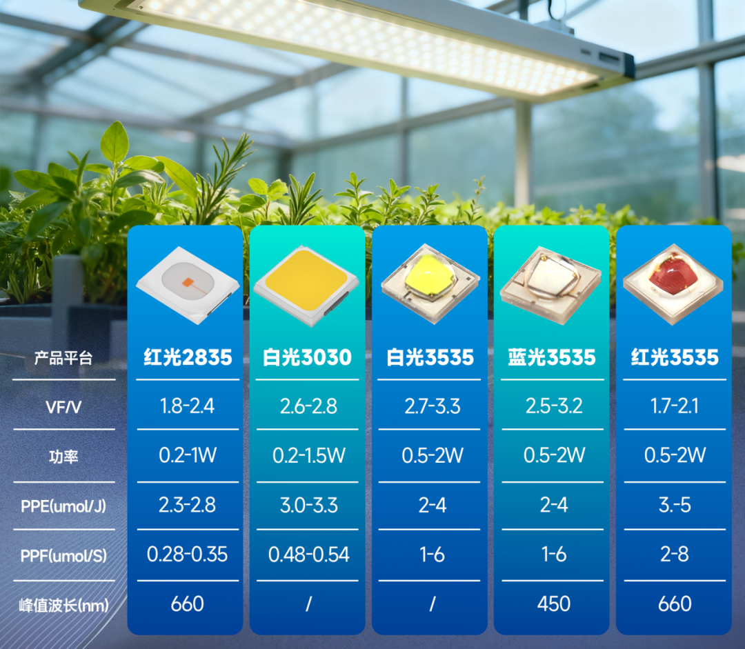 ▲国星光电植物照明LED器件平台