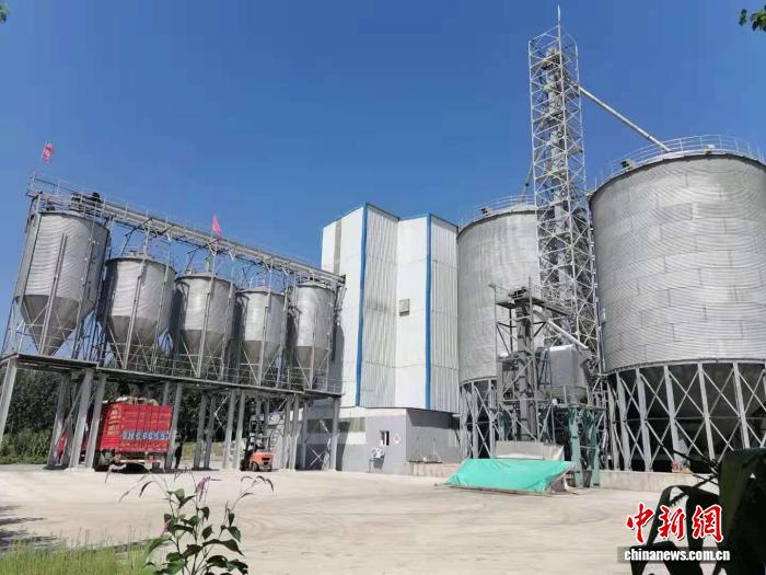 如此養殖加種植的全鏈條循環發展模式，為基地和村民帶來雙贏。陽曲縣委宣傳部供圖