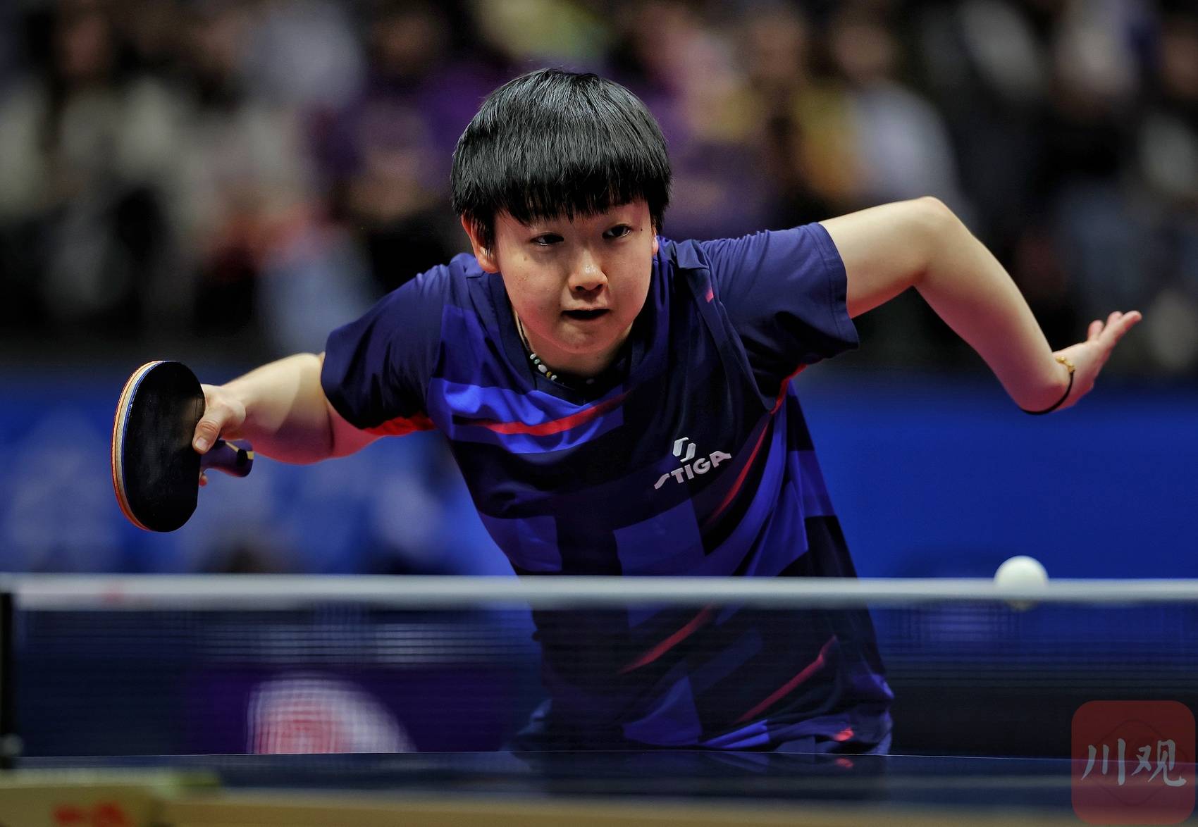 c视频|全运乒乓再现名场面 樊振东孙颖莎领衔“神仙打架” 呐喊声掀翻赛场