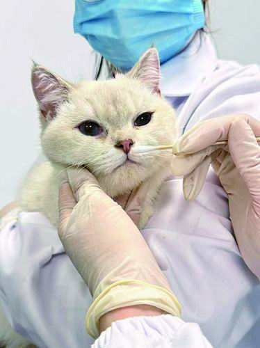 中国农业科学院供图