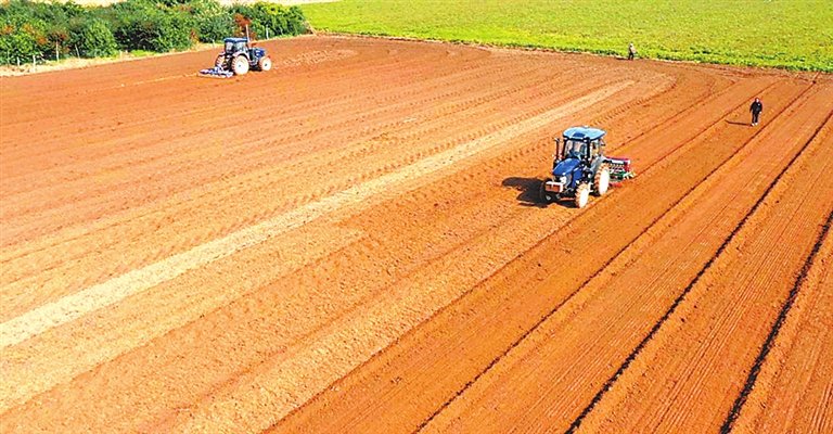 　　搭载北斗导航系统的无人驾驶精量播种机加快麦播作业。　高育明　摄