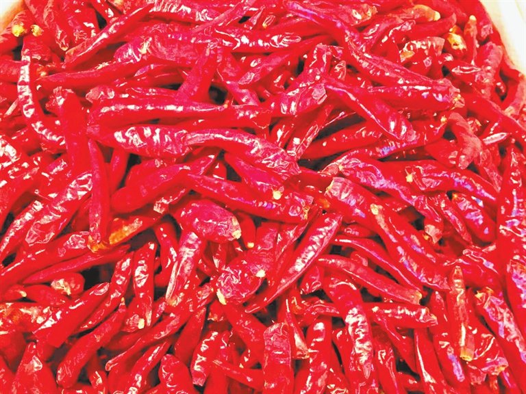 　　内黄新一代干辣椒。　资料图片