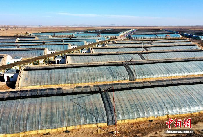 圖為民勤縣改良土地建起溫室產業基地。(資料圖)馬愛彬 攝