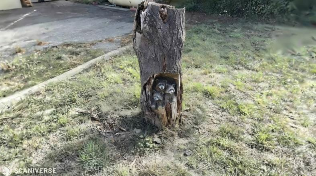 图14 2024年Niantic公司发布全新开源3D图像数据 