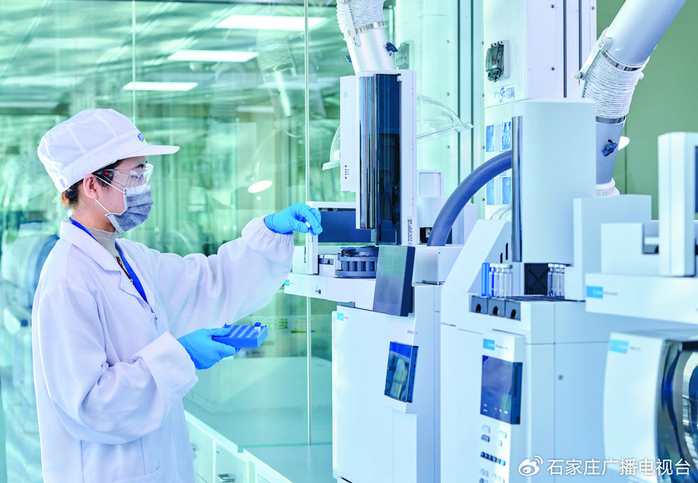 在河北省乳制品产业技术研究院实验室里，科研人员正在进行益生菌功能成分研究。石家庄日报首席记者 张 震 摄