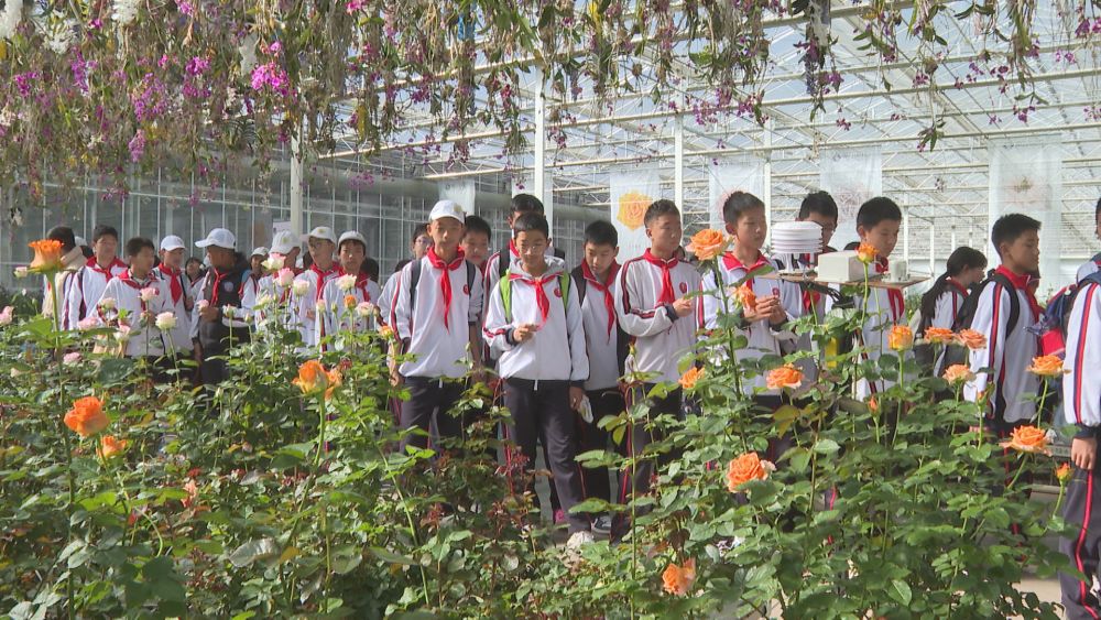 同学们参观鲜花种植区。（丽江融媒记者 和继鹏 摄）