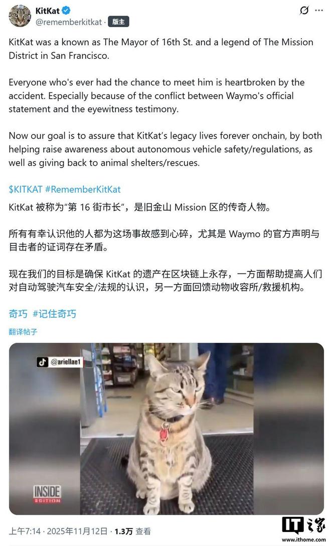 一只猫的死亡,让谷歌自动驾驶公司Waymo陷入公关危机