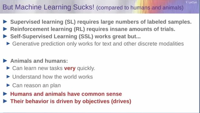 图灵奖得主LeCun最后警告Meta!我搞了40年AI,大模型是死路