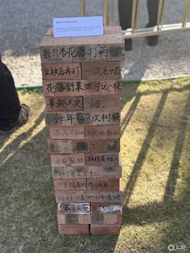 在“小红书文学节”共创共读。施晨露摄