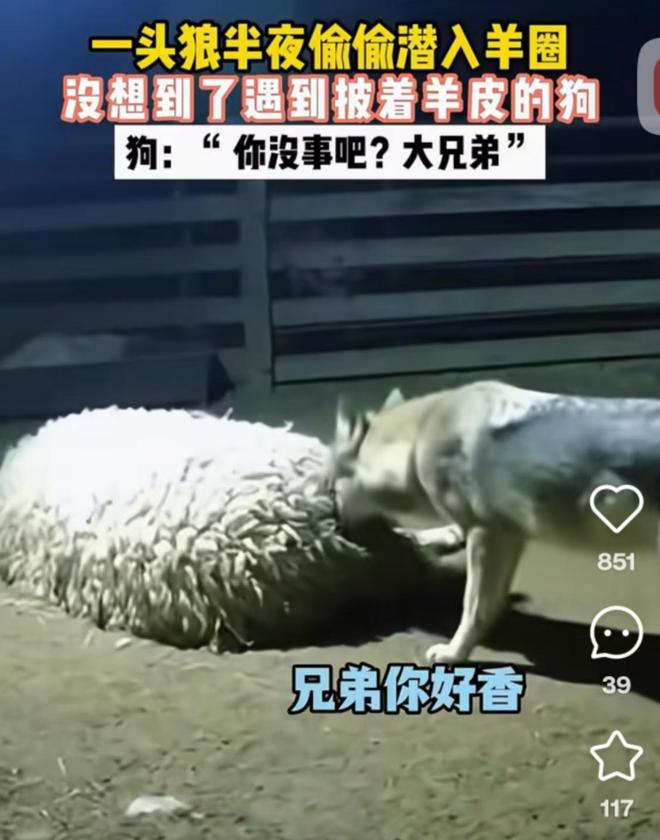 AI视频泛滥成灾！平台管控难，消费者鉴别能力日益重要？