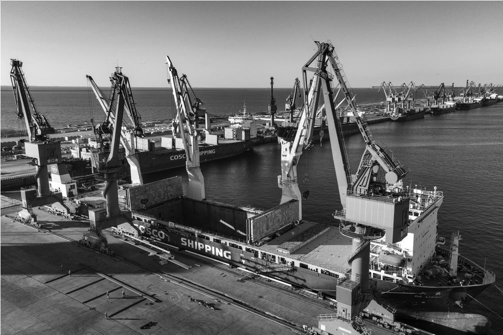 11月15日，6457根36米国产钢轨在辽宁营口港鲅鱼圈港区完成装载任务。马健 摄