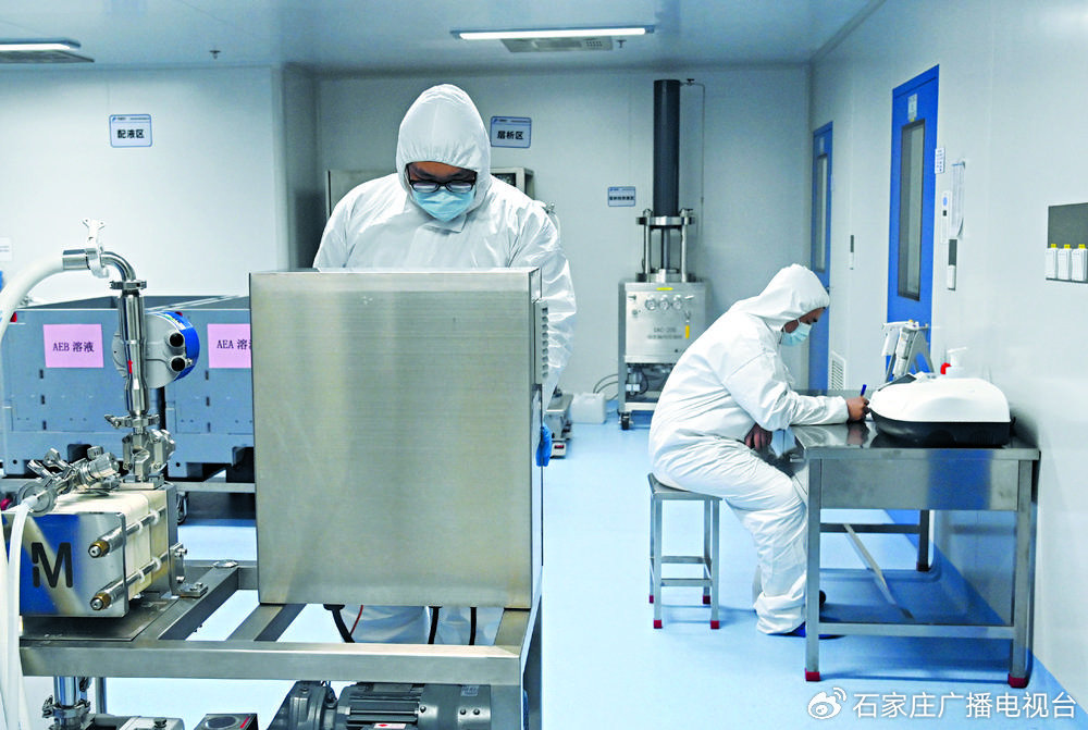 位于石家庄高新区的华普石家庄医药有限公司工作人员正在进行疫苗CpG佐剂研发实验。记者 张 震