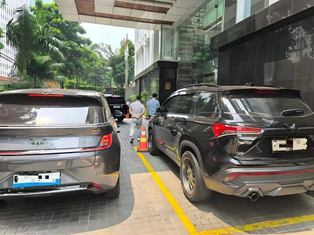 中国车企，到印尼搞矿