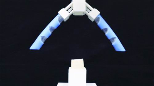 中国地质大学(武汉)供图