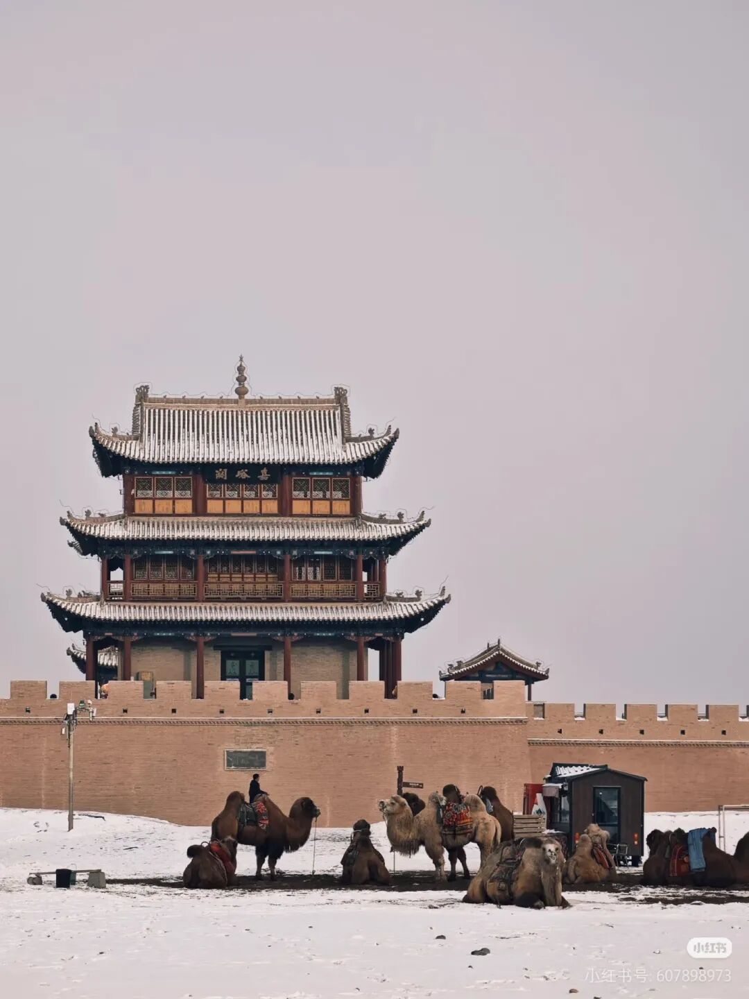 图源：小红书@糖醋麻辣咸鱼