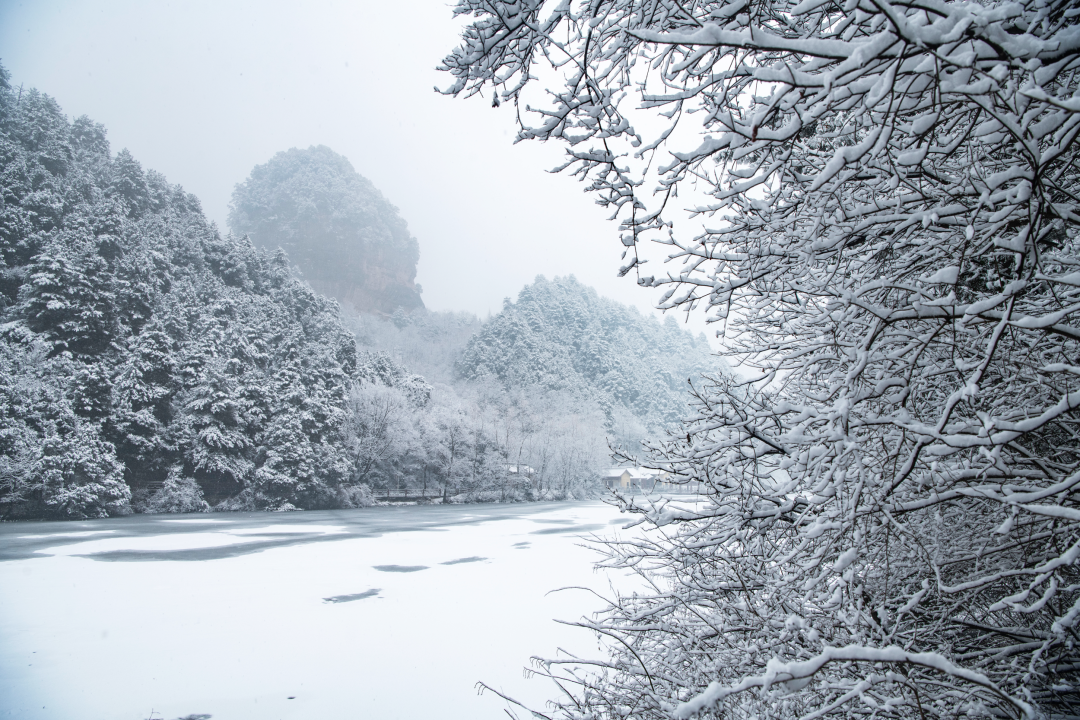 雪后的麦积山景区变得玉树琼花，分外妖娆。 新甘肃·甘肃日报通讯员 陈治平