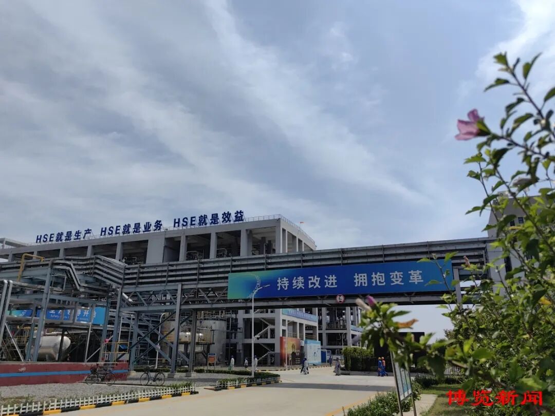 中化东大错落有致的生产厂区